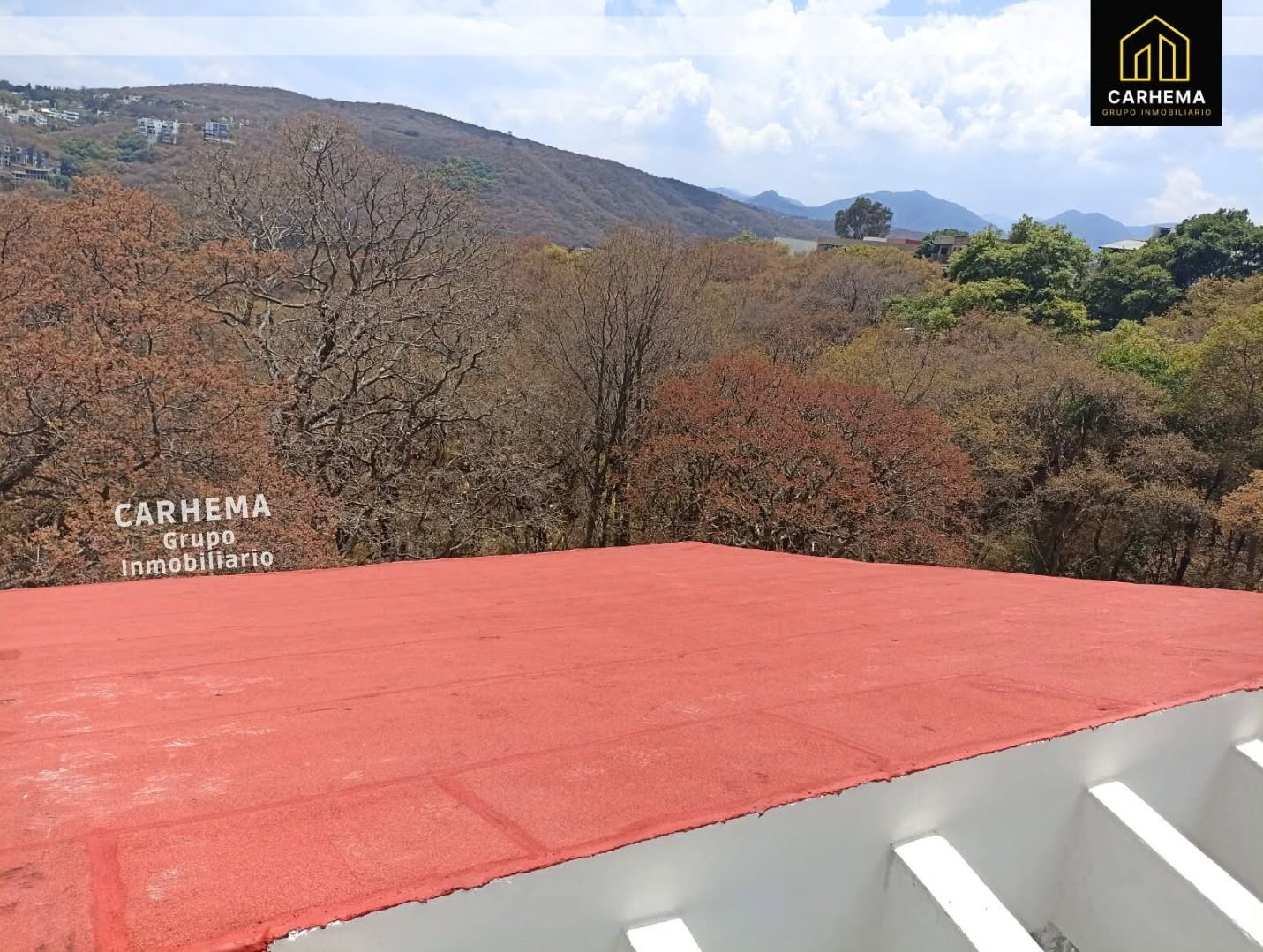Proyecto CARHEMA 02
