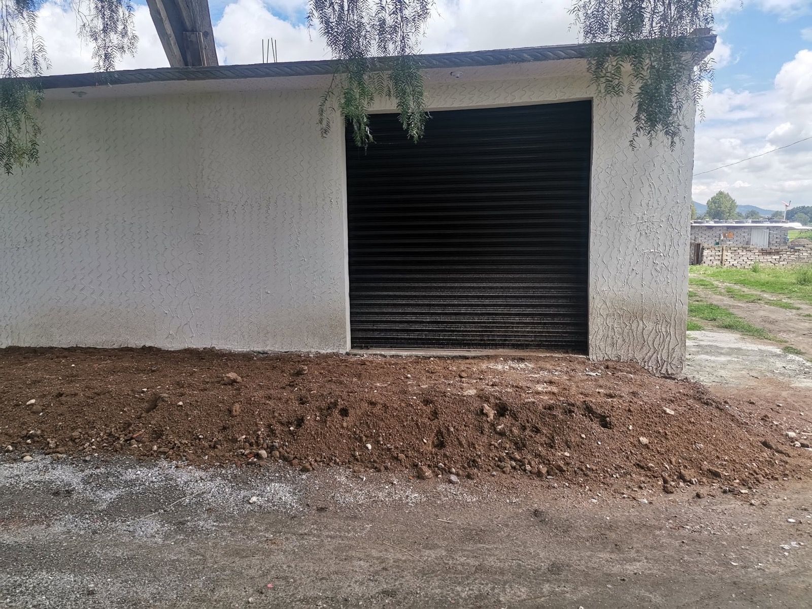 Proyecto CARHEMA 04