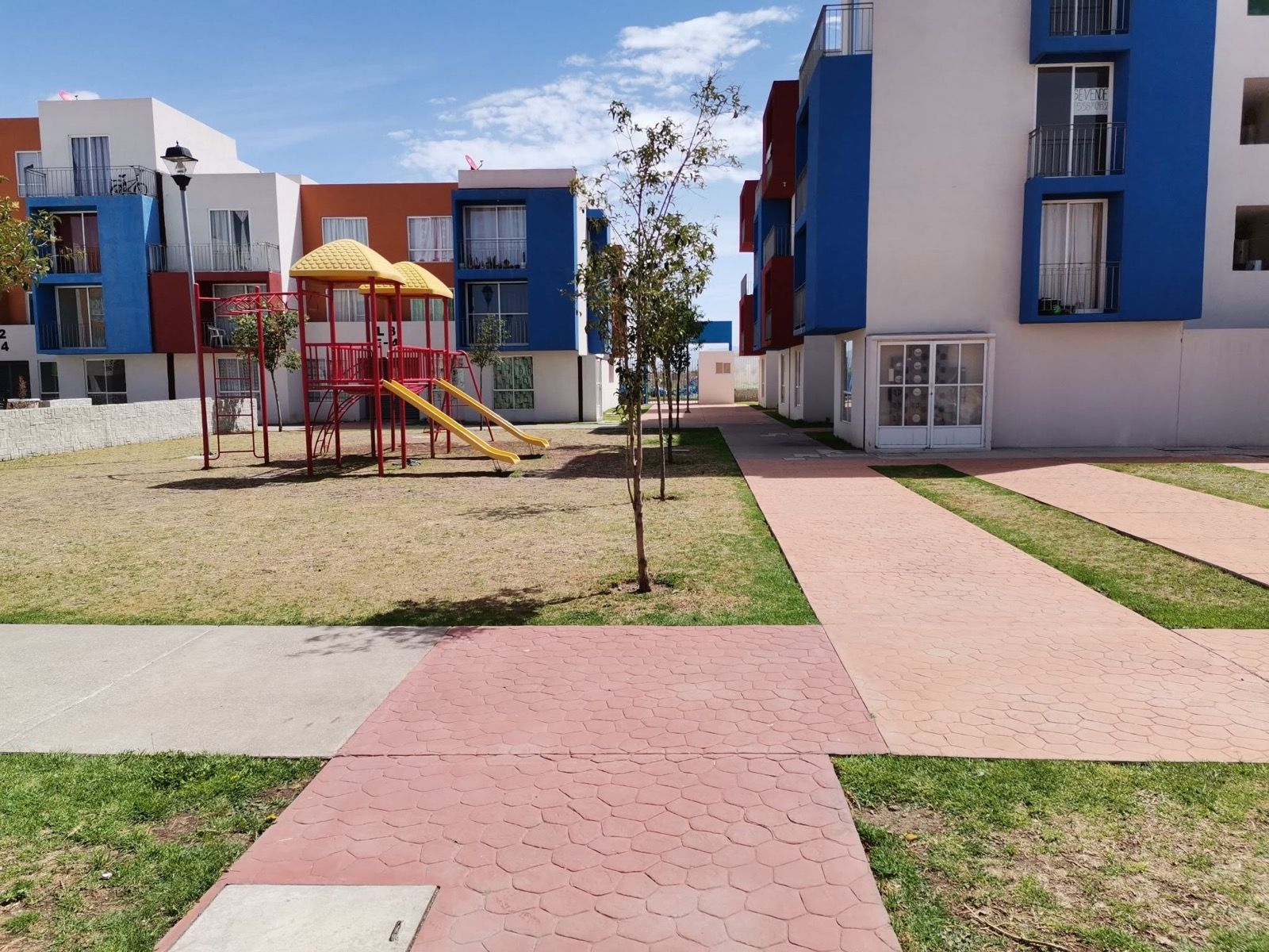 Proyecto CARHEMA 06